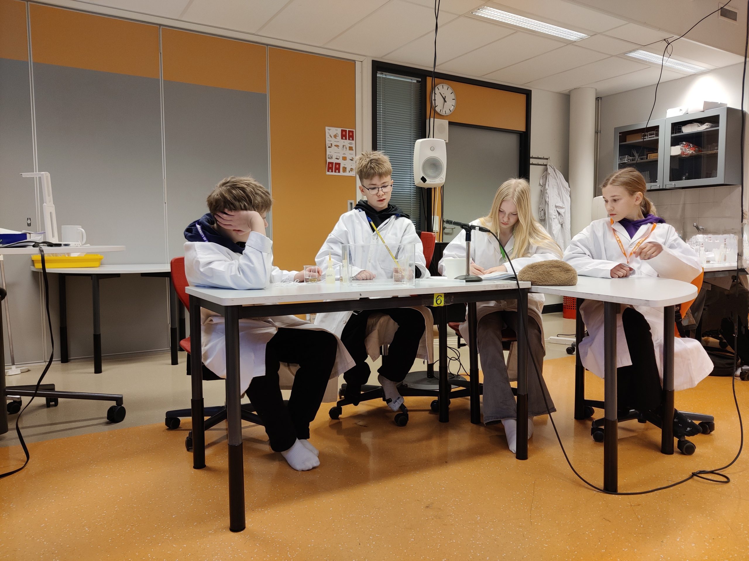 IMG_20241128_103339~2