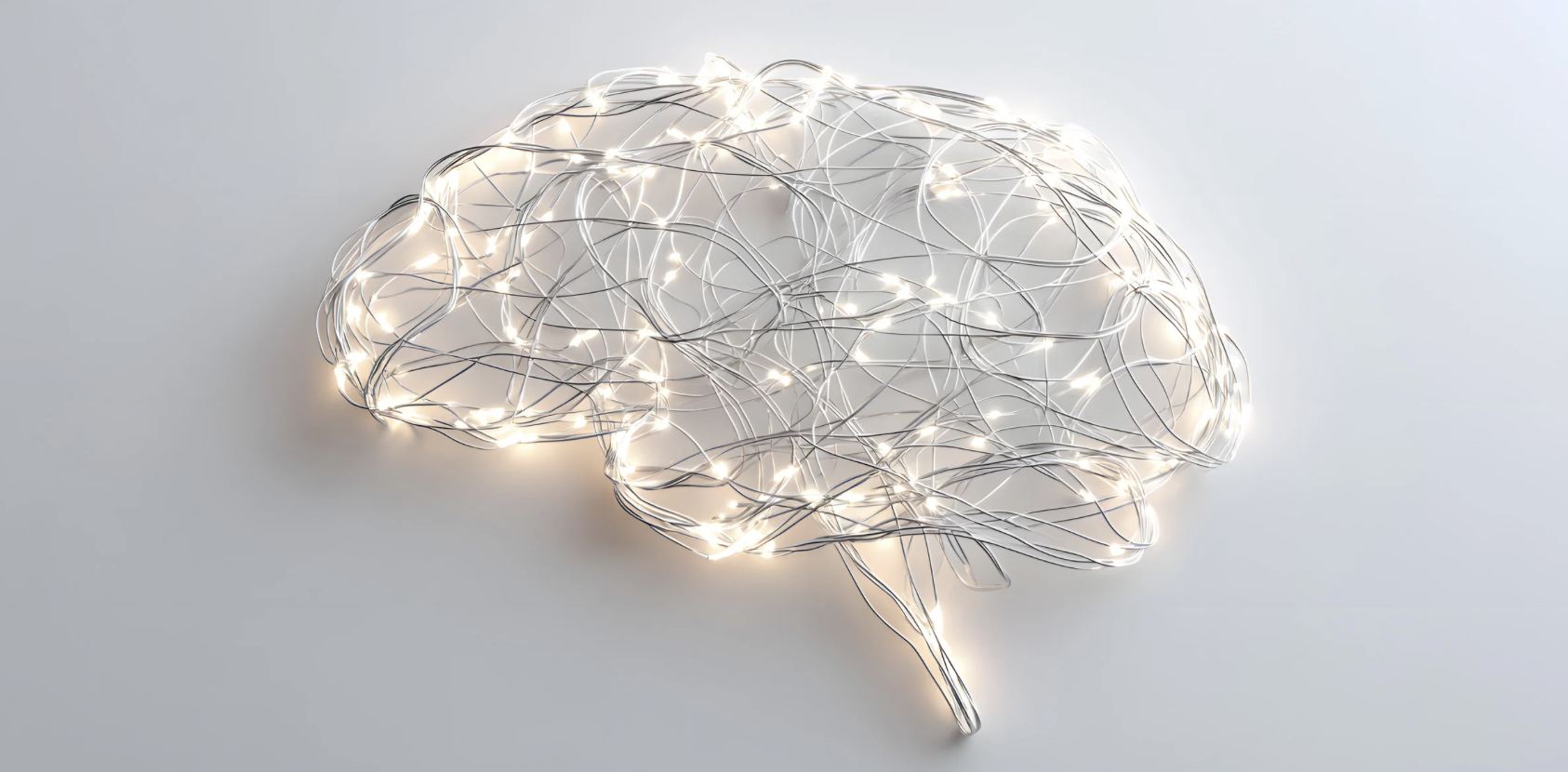 Screenshot 2026-01-08 at 15.55.40